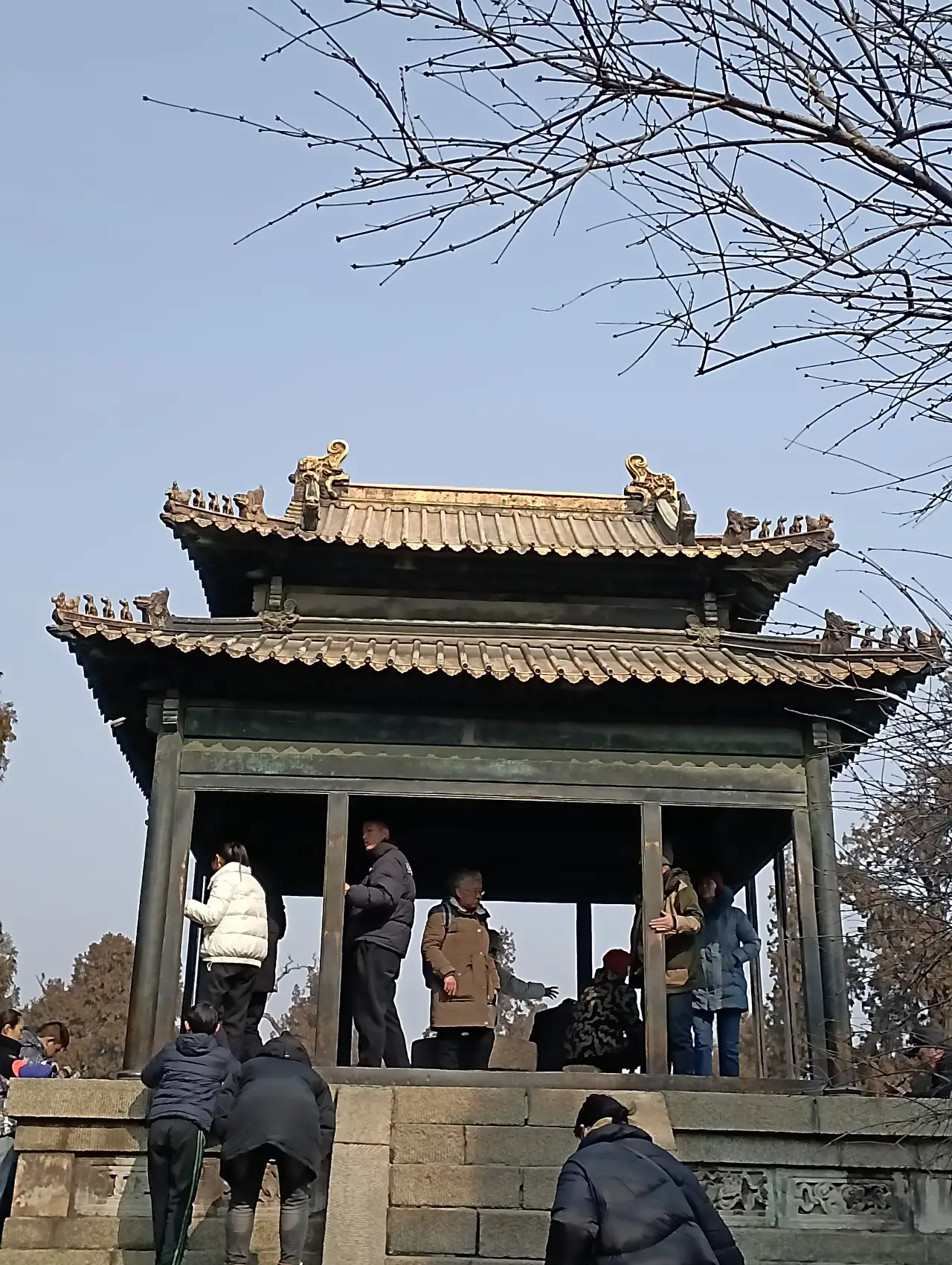 阿姨照片