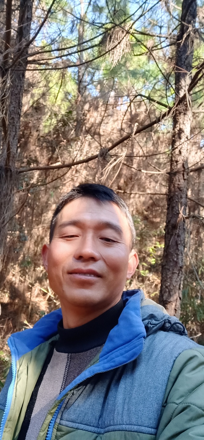 阿姨照片