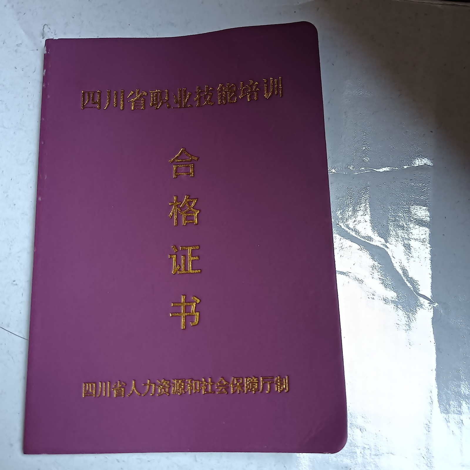 陈阿姨的照片